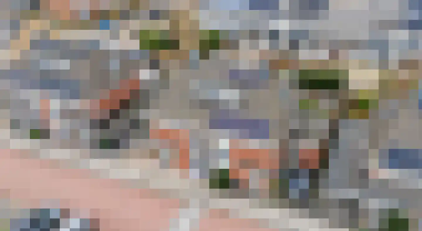 De Kwekerij 6 Koudekerk aan den Rijn thumbnail 7