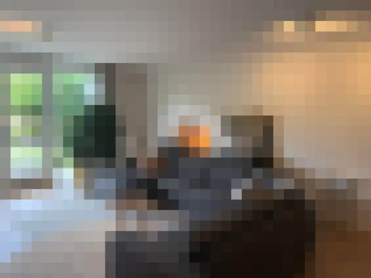 de Kwekerij 60 Baarn thumbnail 6