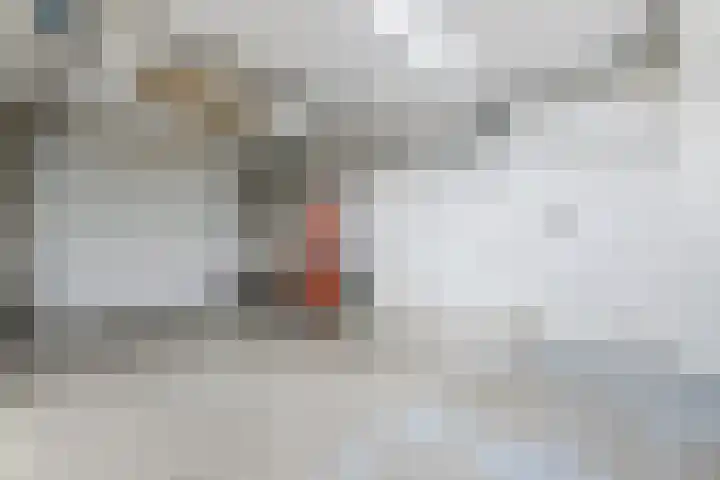 De Kwekerij 7 Akersloot thumbnail 13