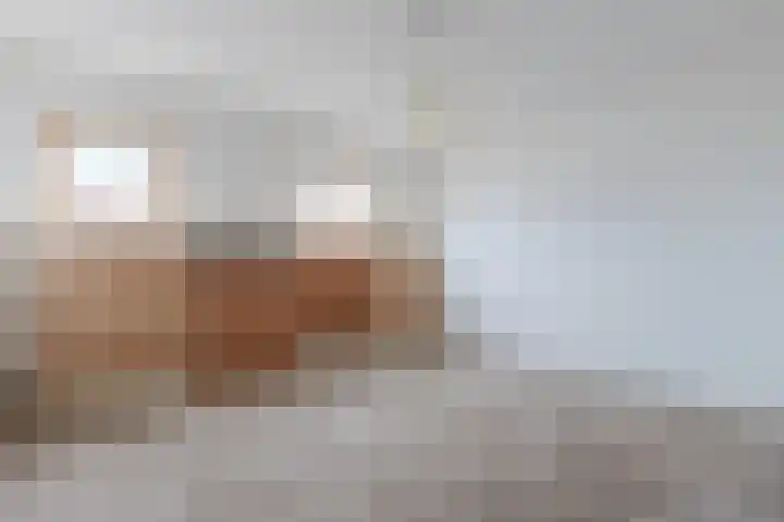De Kwekerij 7 Akersloot thumbnail 28