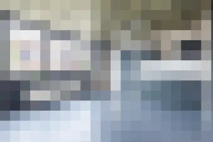 De Kwekerij 7 Akersloot thumbnail 8