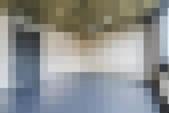 De Kwekerij 7 Akersloot thumbnail 9