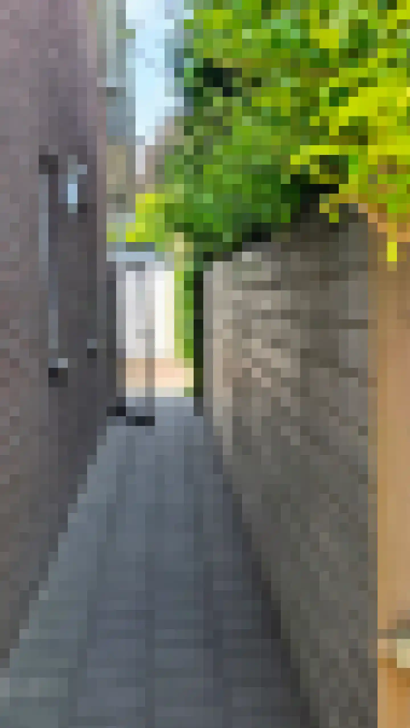de Kwekerij 72 Baarn thumbnail 34