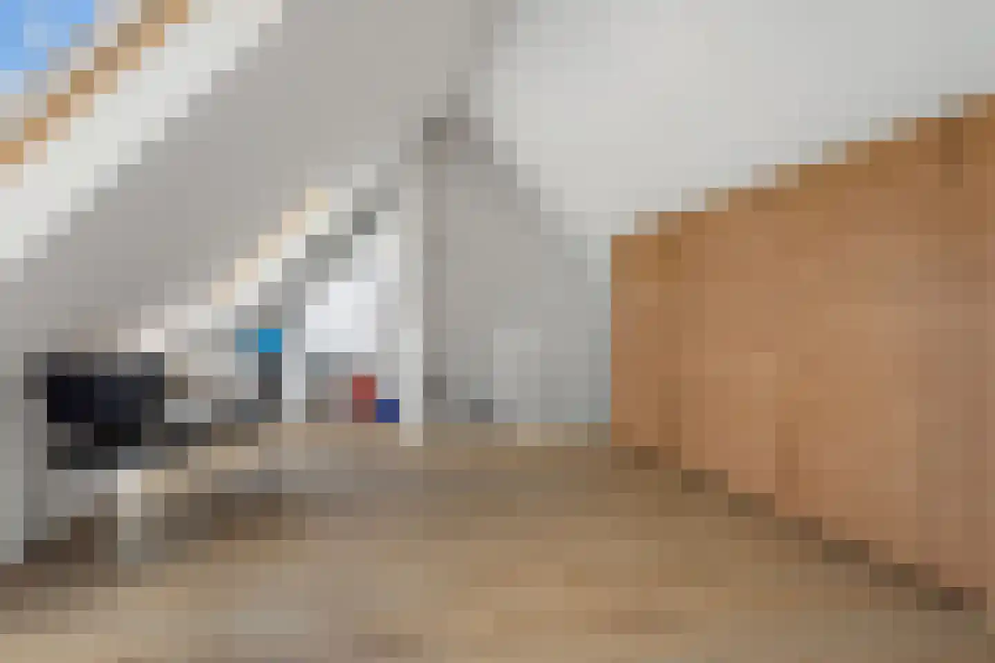 de Kwekerij 72 Baarn thumbnail 35