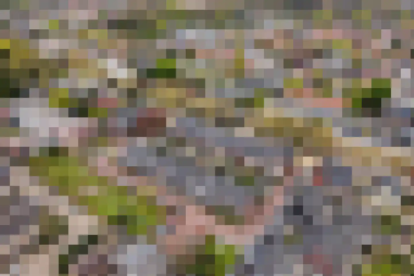 de Kwekerij 72 Baarn thumbnail 35