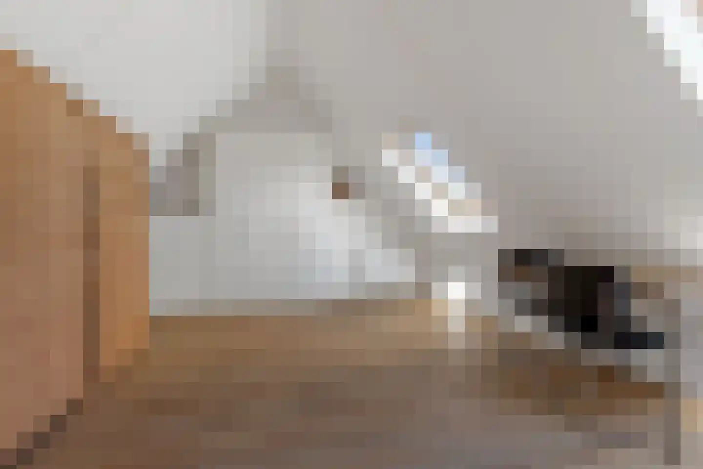 de Kwekerij 72 Baarn thumbnail 36