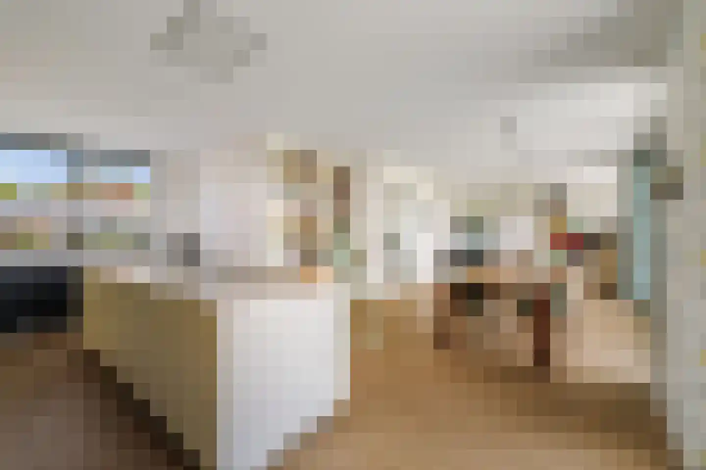 De Kwekerij 8 Diepenveen thumbnail 15