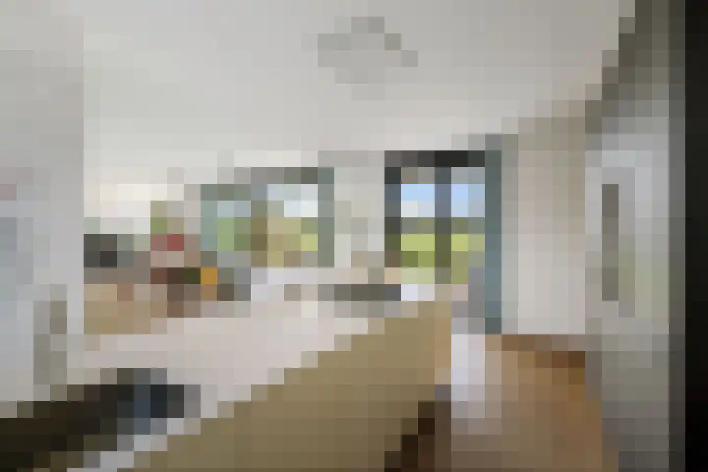 De Kwekerij 8 Diepenveen thumbnail 17