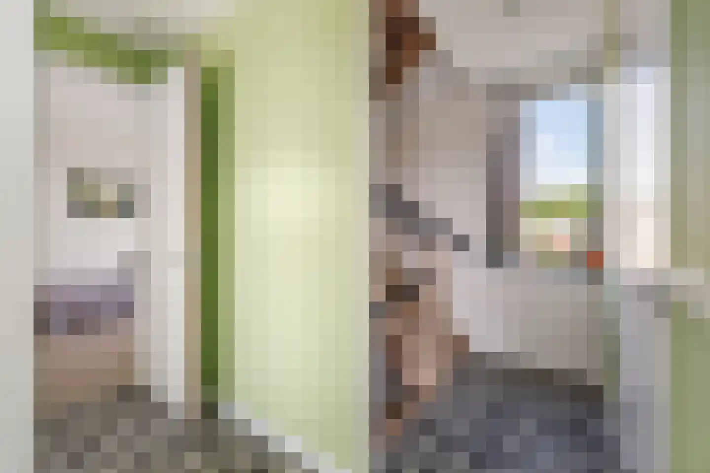 De Kwekerij 8 Diepenveen thumbnail 29