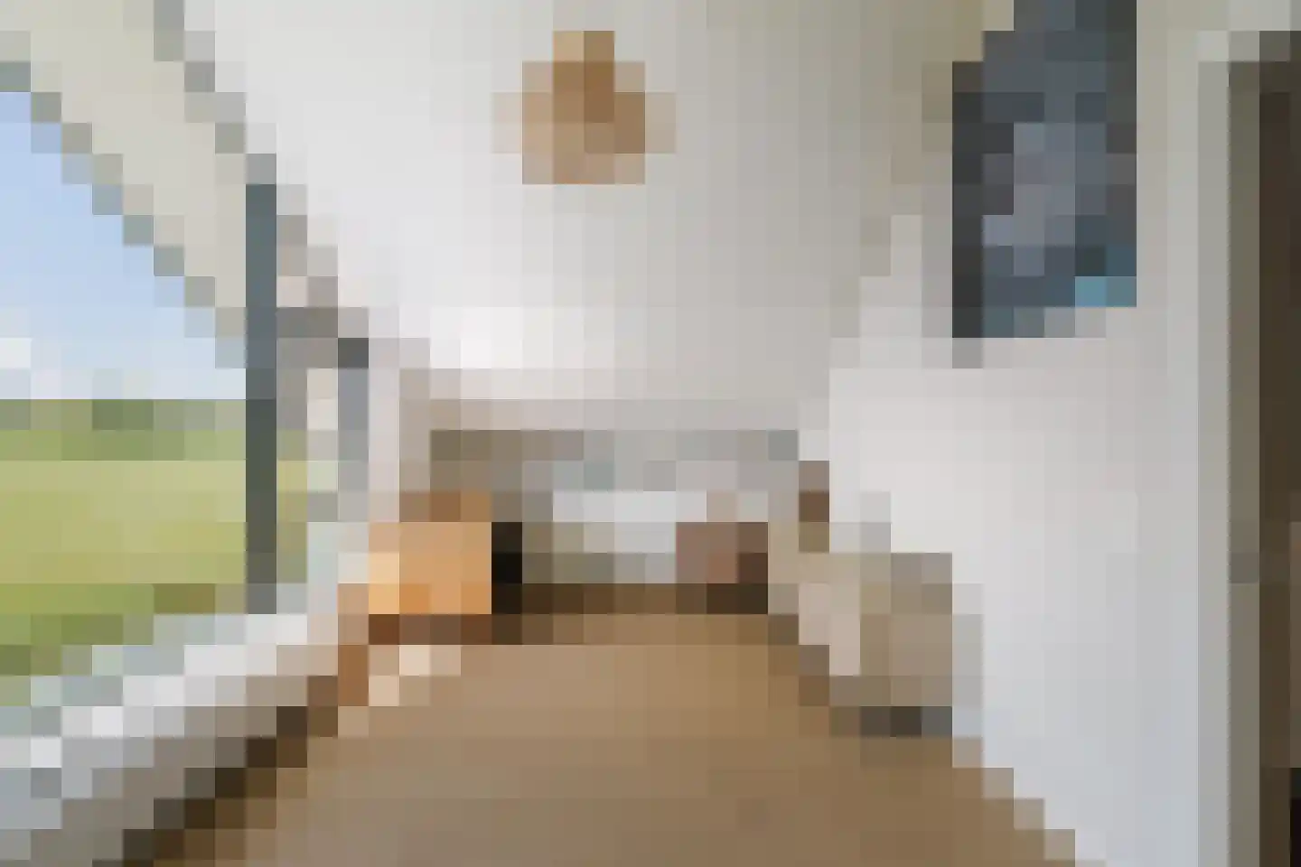 De Kwekerij 8 Diepenveen thumbnail 35
