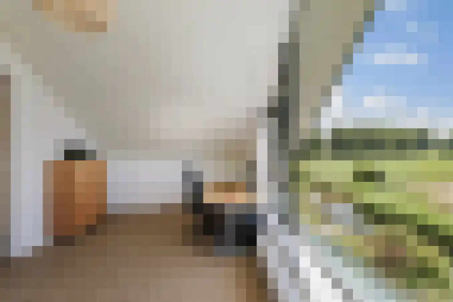 De Kwekerij 8 Diepenveen thumbnail 36