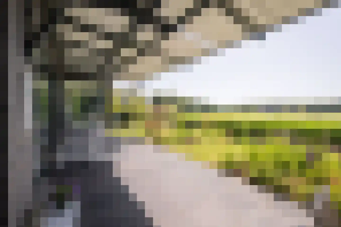 De Kwekerij 8 Diepenveen thumbnail 38