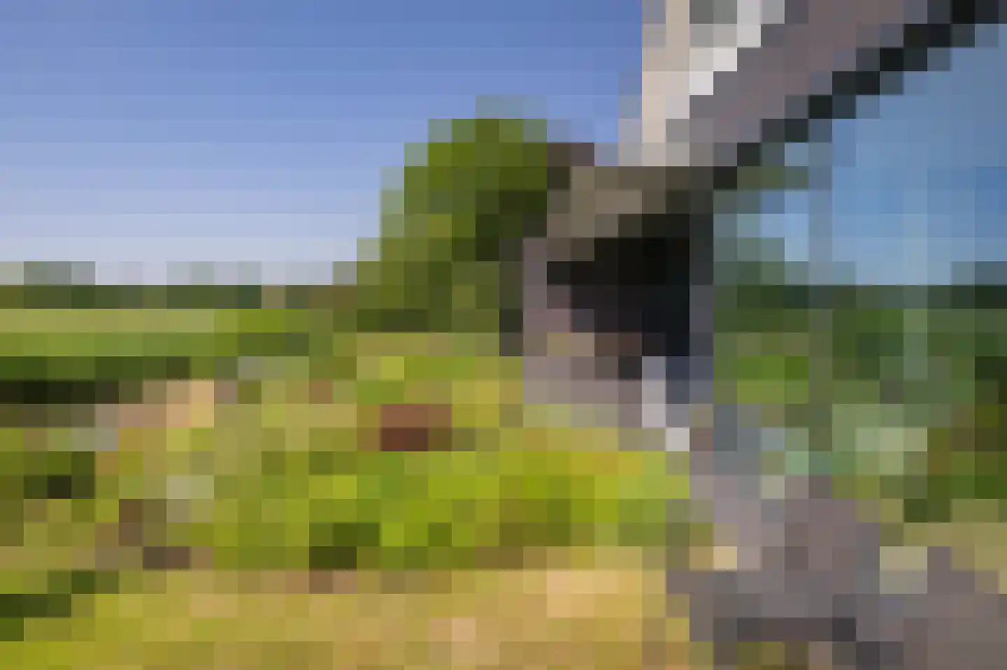 De Kwekerij 8 Diepenveen thumbnail 40