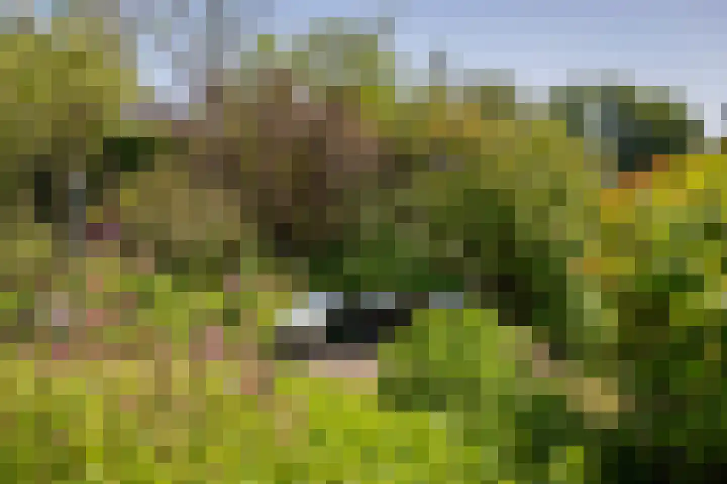 De Kwekerij 8 Diepenveen thumbnail 43
