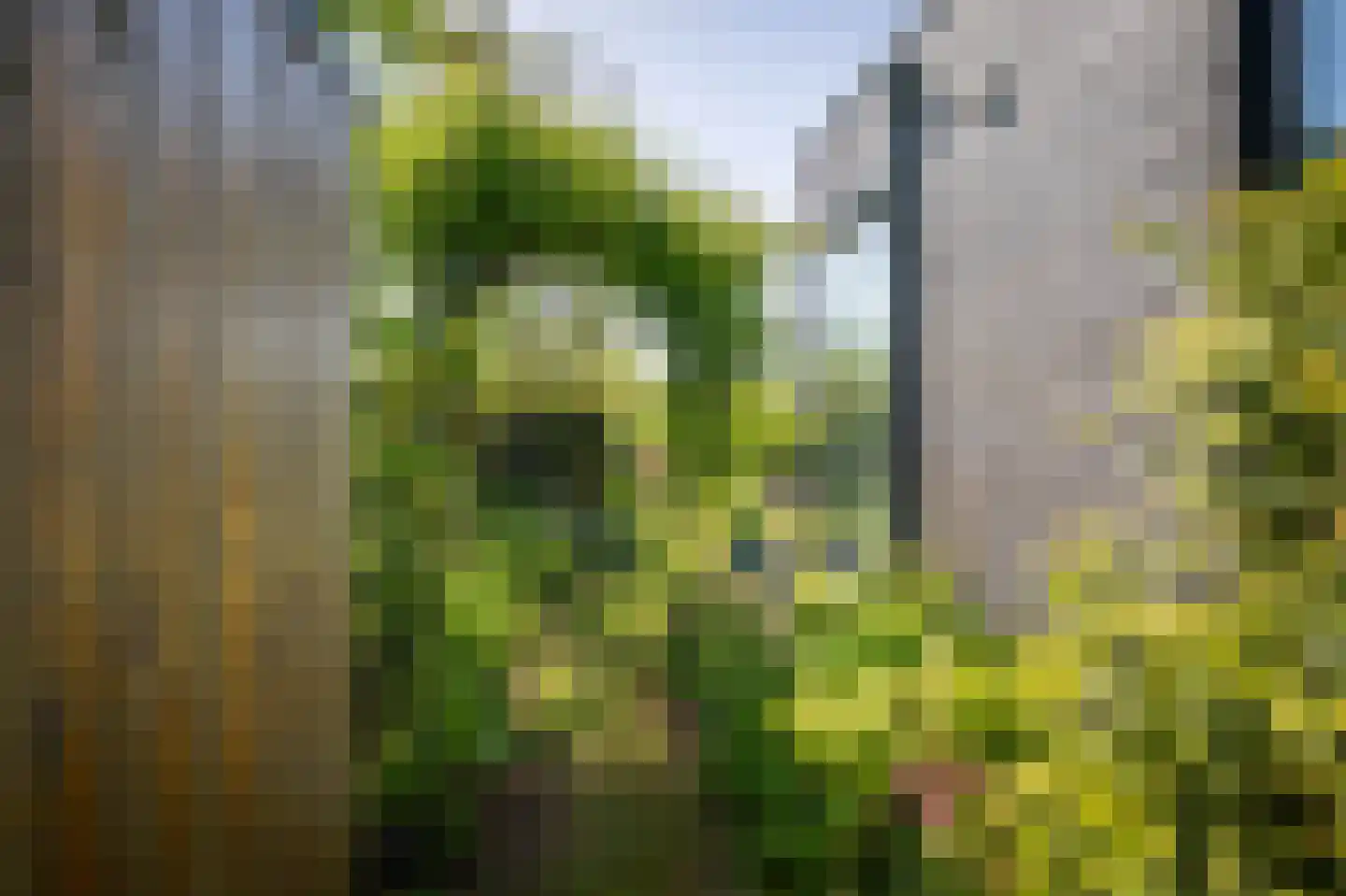 De Kwekerij 8 Diepenveen thumbnail 44
