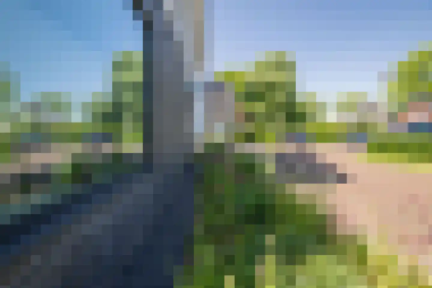 De Kwekerij 8 Diepenveen thumbnail 45