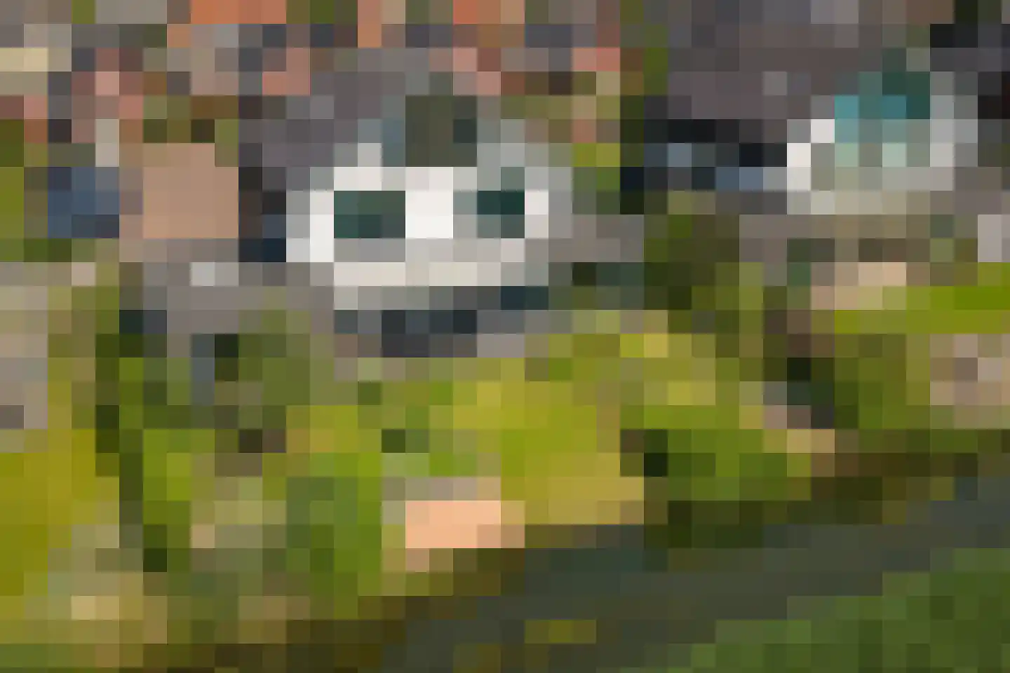 De Kwekerij 8 Diepenveen thumbnail 48