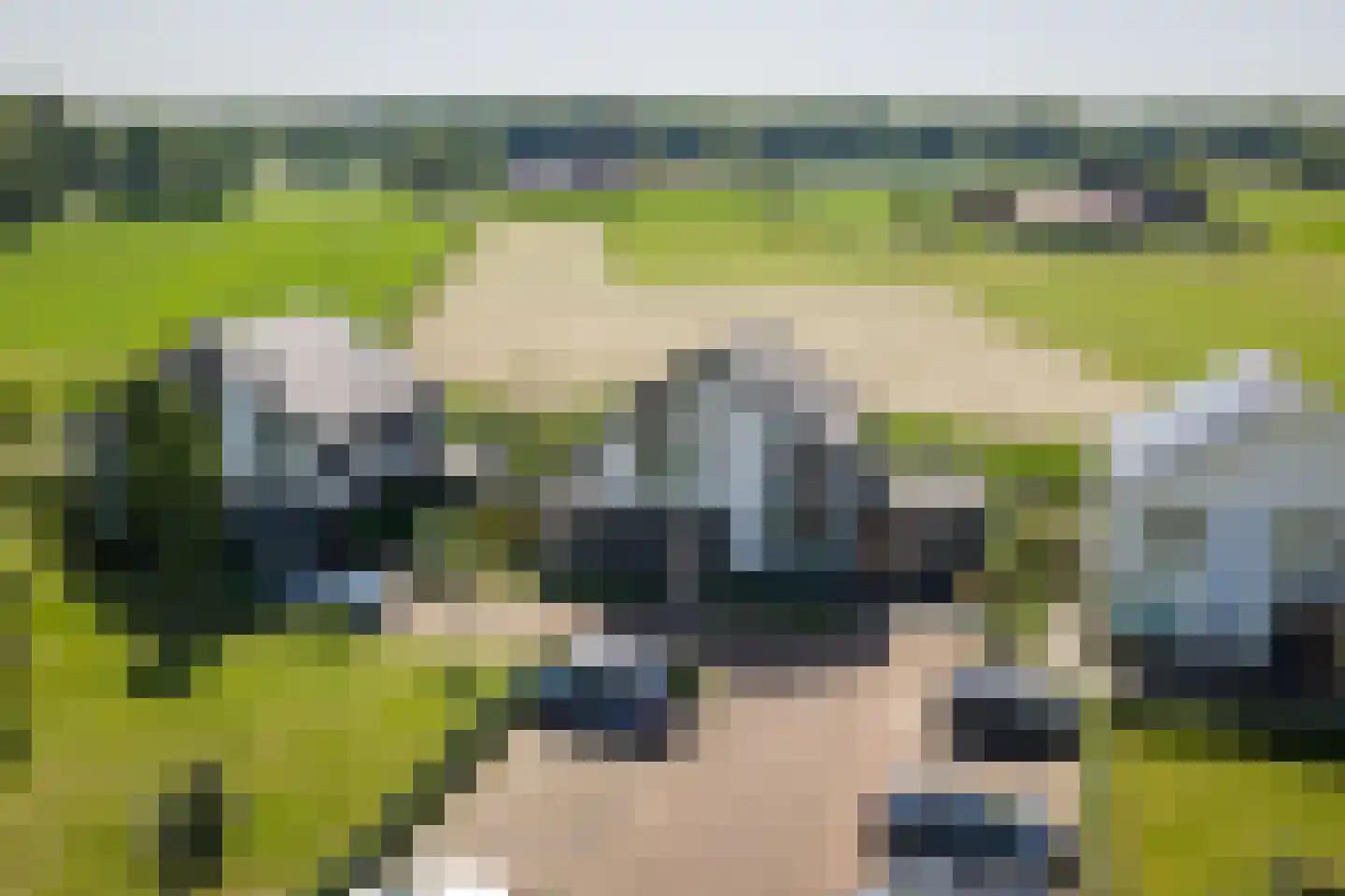 De Kwekerij 8 Diepenveen thumbnail 49