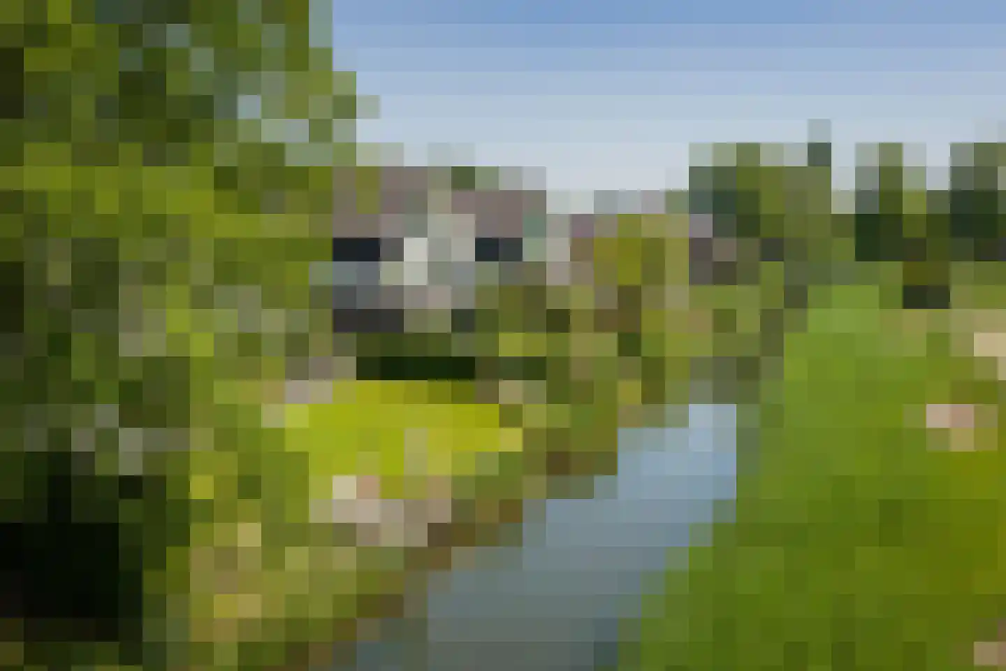De Kwekerij 8 Diepenveen thumbnail 50