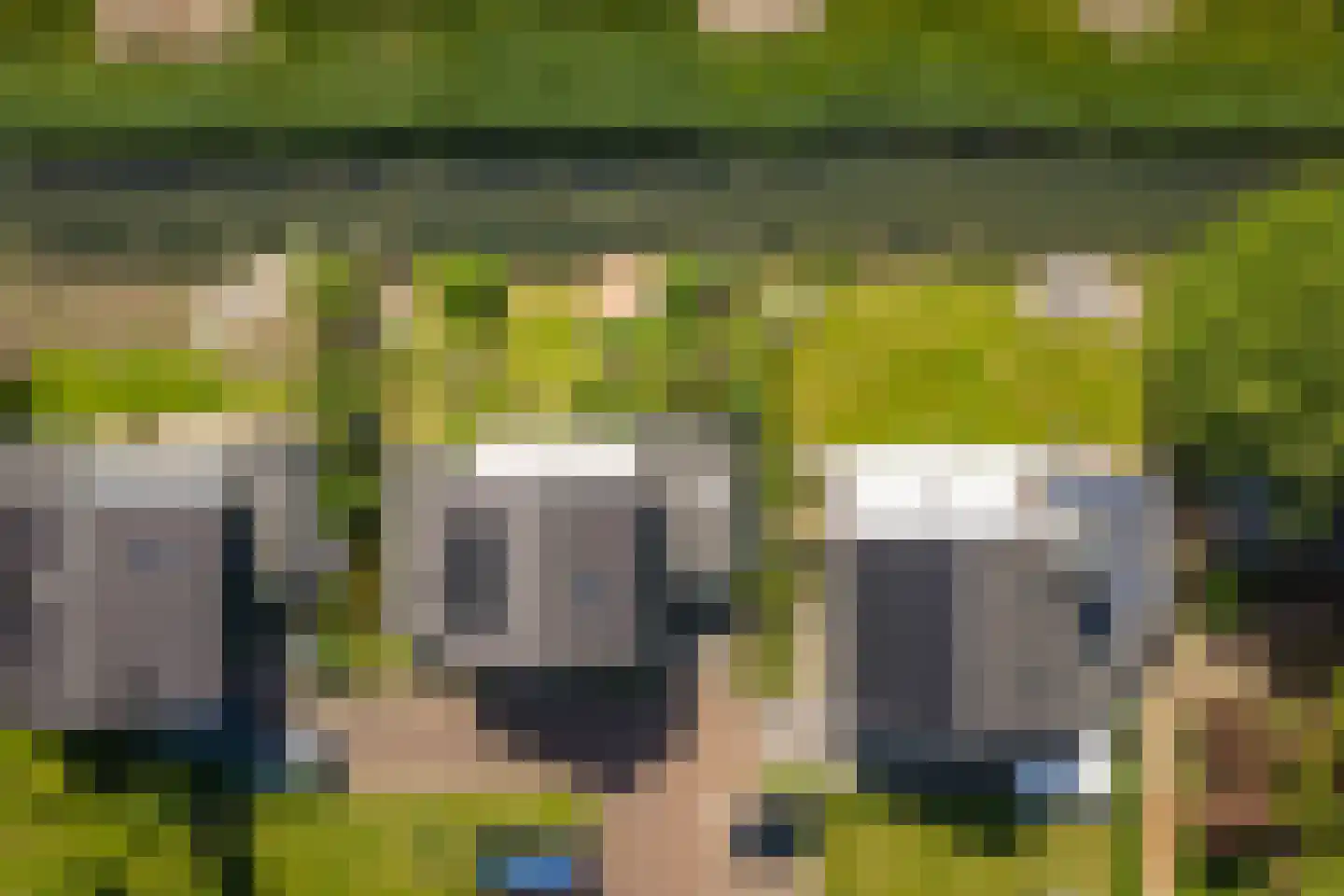 De Kwekerij 8 Diepenveen thumbnail 51
