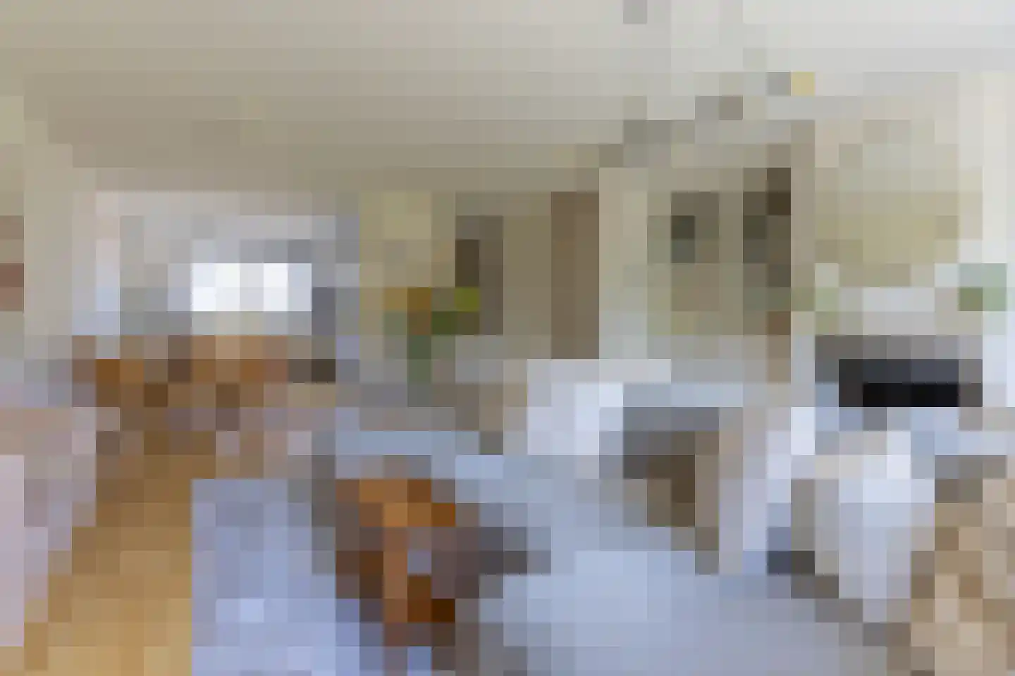De Kwekerij 8 Laren thumbnail 10