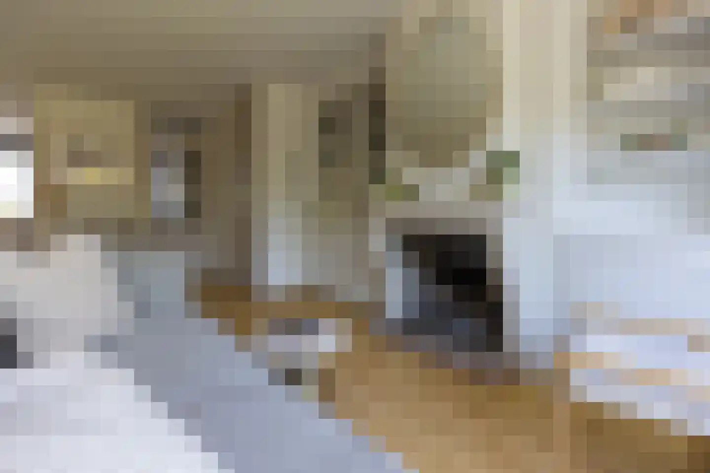 De Kwekerij 8 Laren thumbnail 12