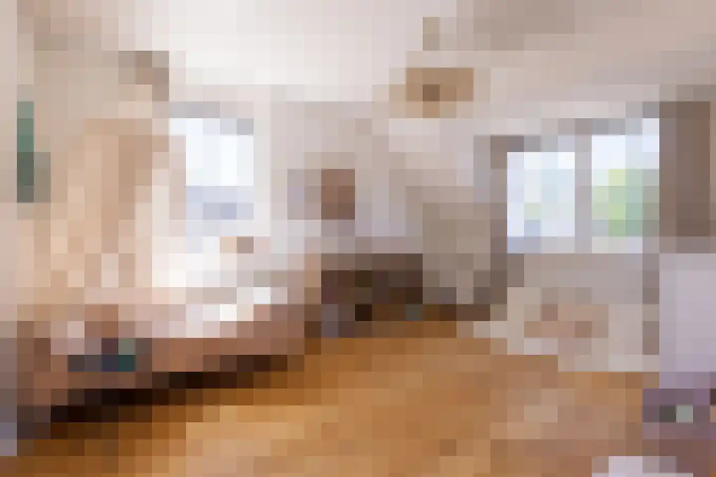 De Kwekerij 8 Laren thumbnail 18