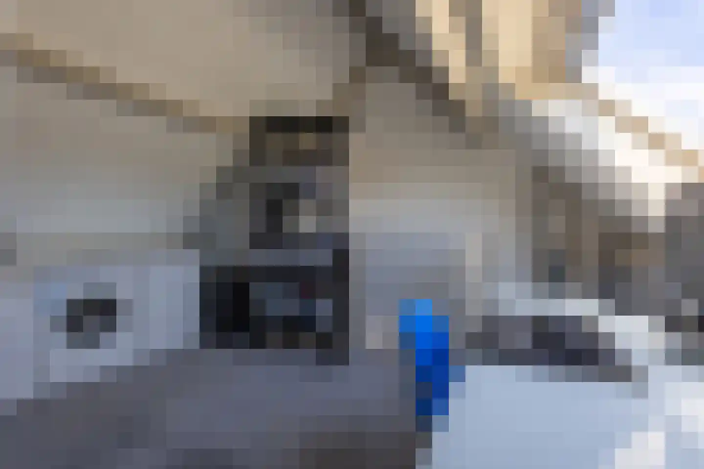 De Kwekerij 8 Laren thumbnail 23