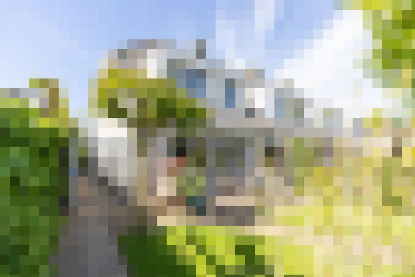 De Kwekerij 8 Laren thumbnail 26