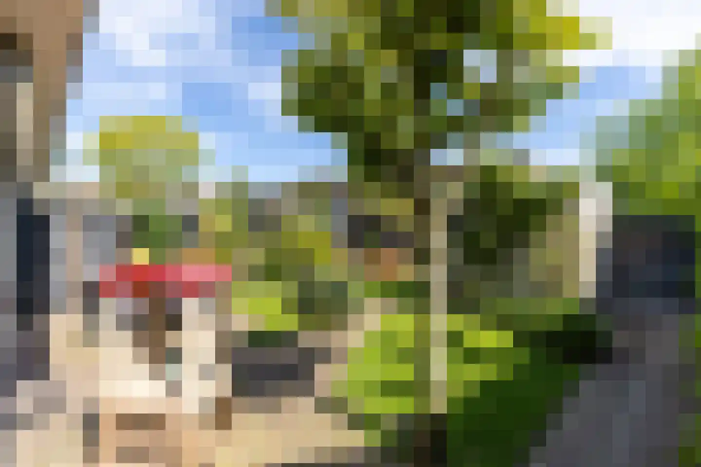 De Kwekerij 8 Laren thumbnail 27