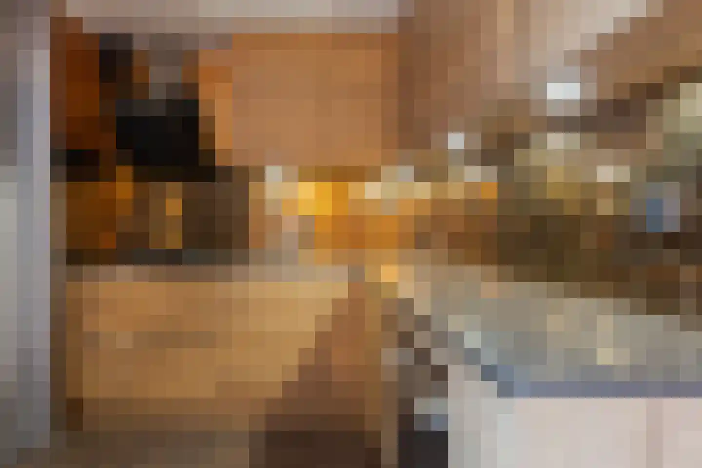 De Kwekerije 41 Noordwolde thumbnail 15