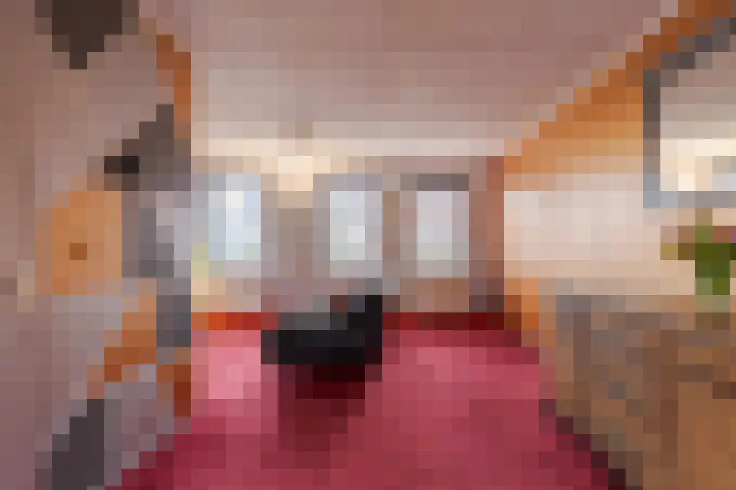 De Kwekerije 41 Noordwolde thumbnail 8