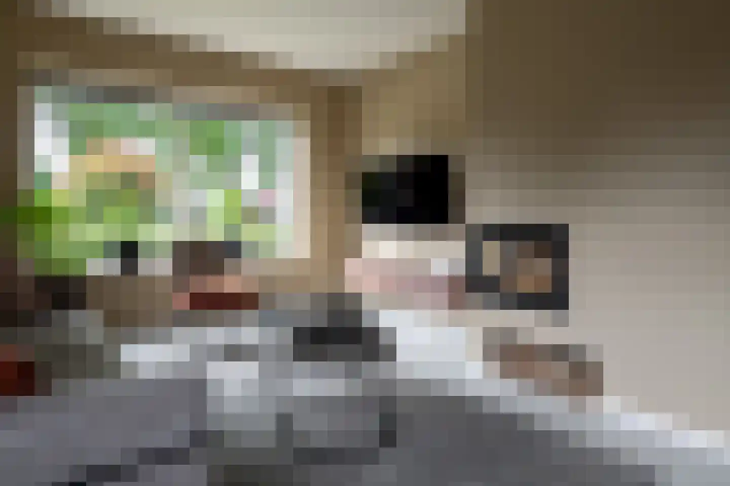 De Kwikstaart 2 Vriezenveen thumbnail 12
