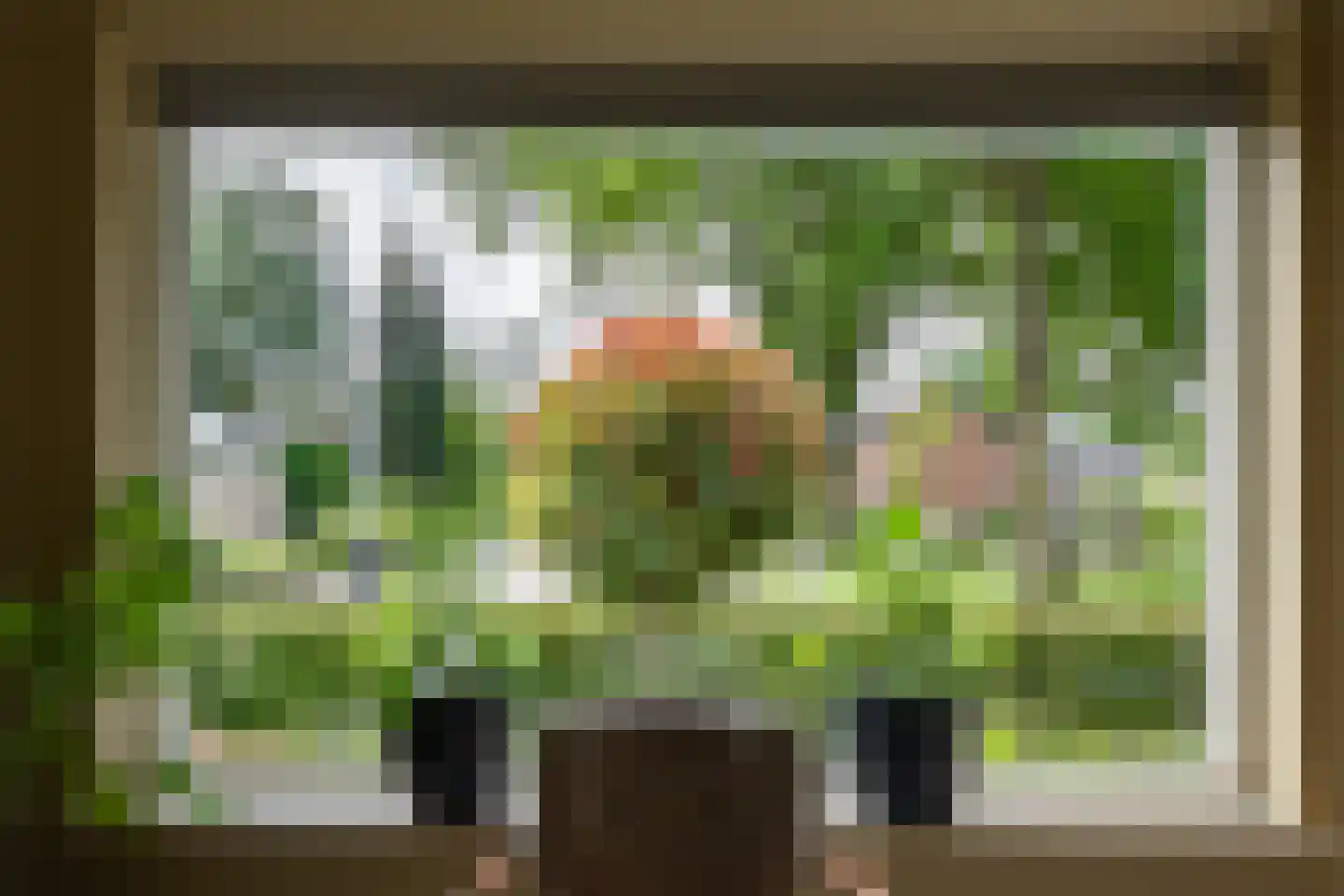 De Kwikstaart 2 Vriezenveen thumbnail 14