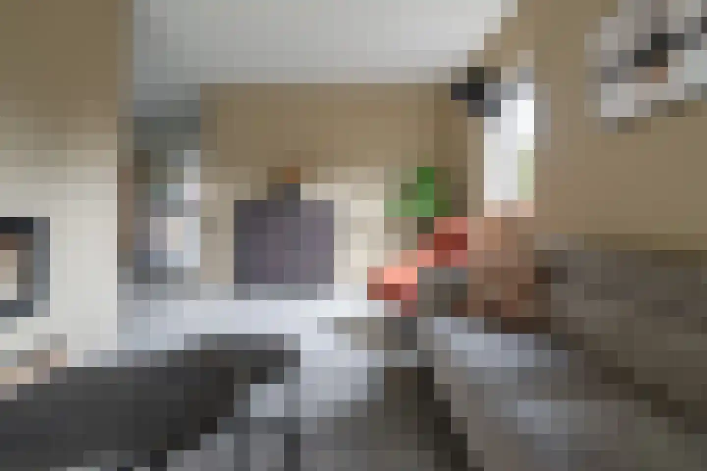 De Kwikstaart 2 Vriezenveen thumbnail 15