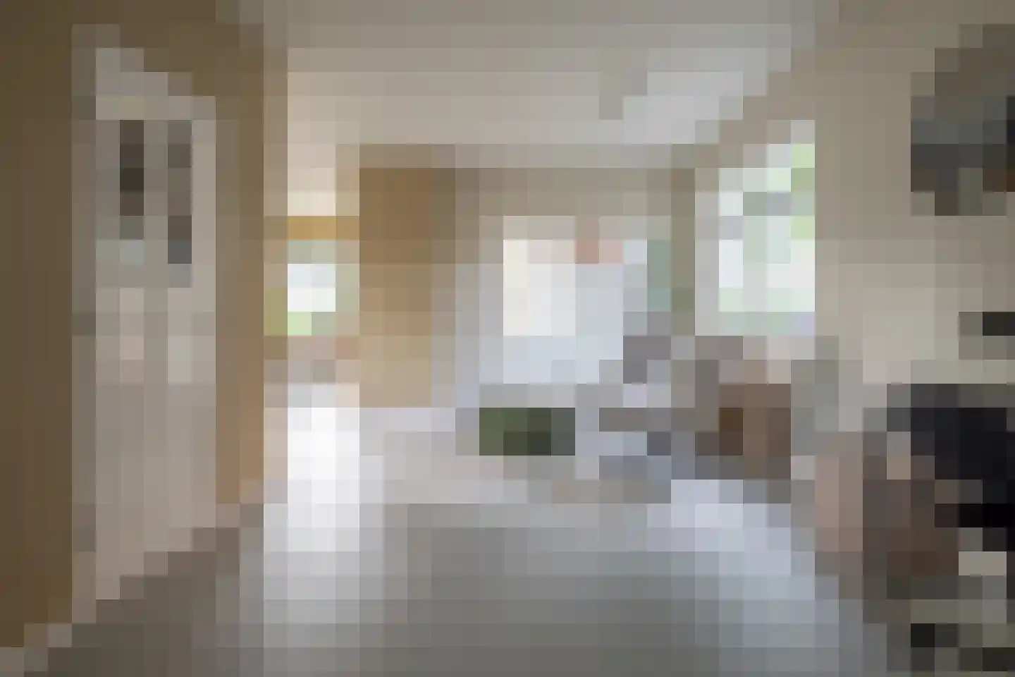 De Kwikstaart 2 Vriezenveen thumbnail 19