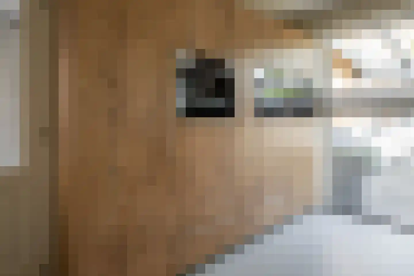 De Kwikstaart 2 Vriezenveen thumbnail 22