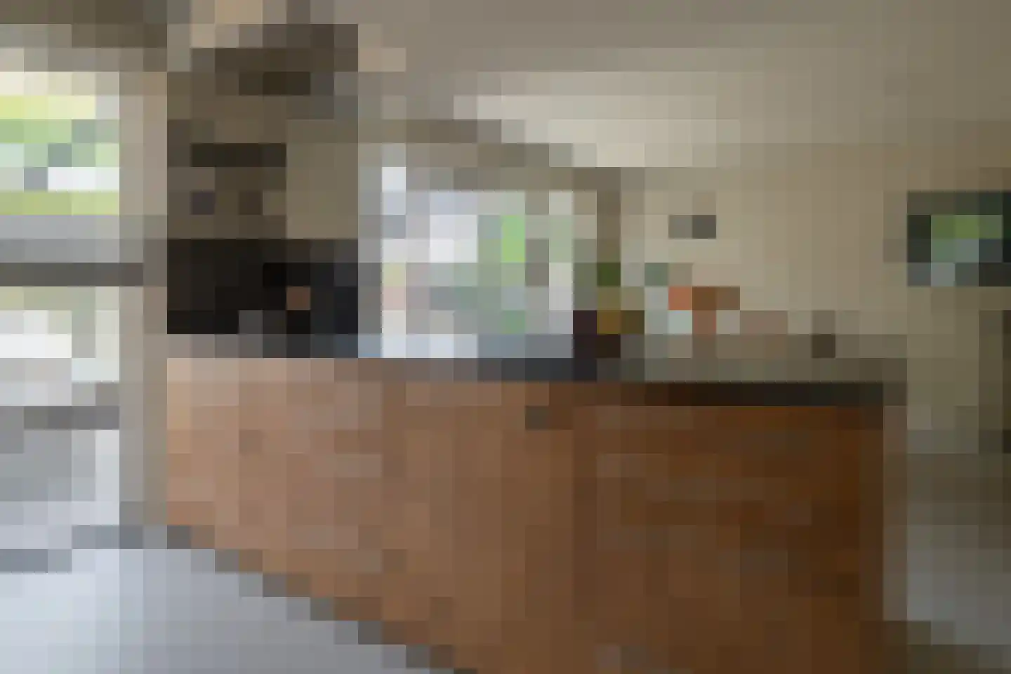 De Kwikstaart 2 Vriezenveen thumbnail 23