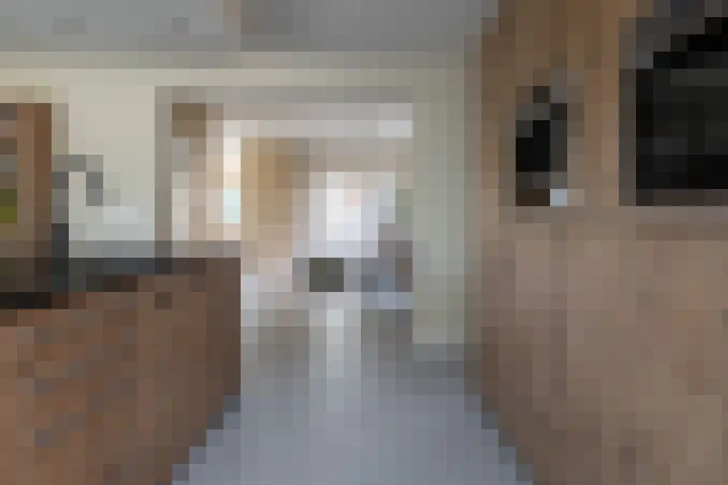 De Kwikstaart 2 Vriezenveen thumbnail 24