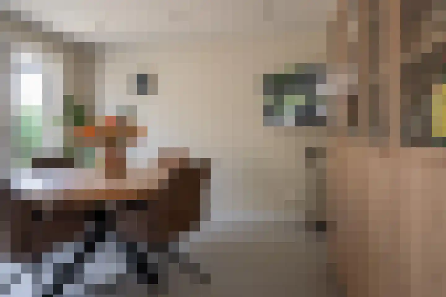 De Kwikstaart 2 Vriezenveen thumbnail 25