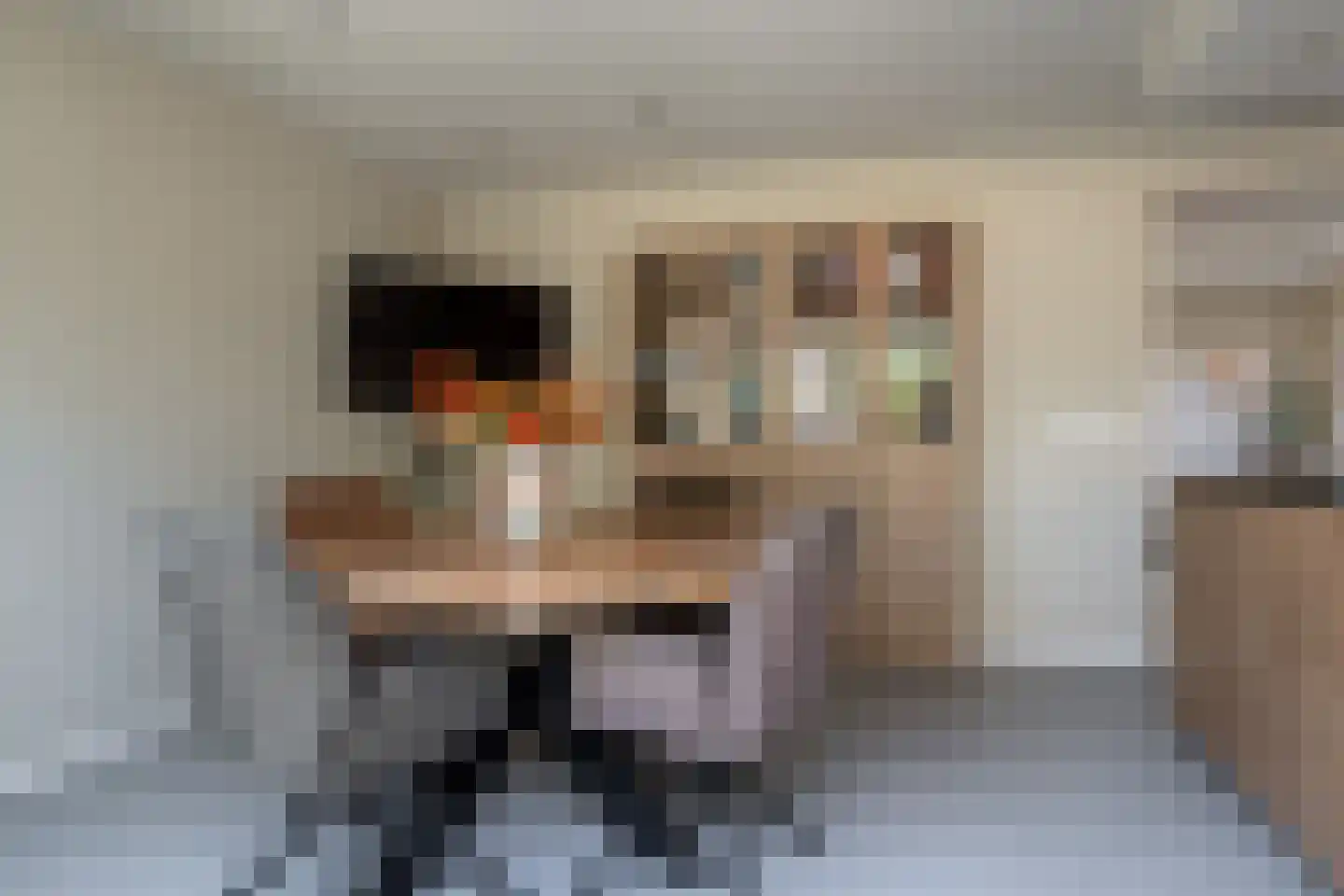 De Kwikstaart 2 Vriezenveen thumbnail 27