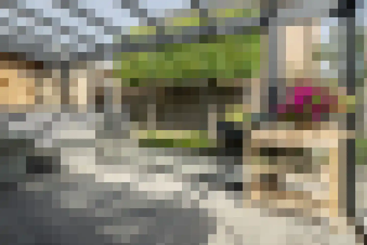 De Kwikstaart 2 Vriezenveen thumbnail 29