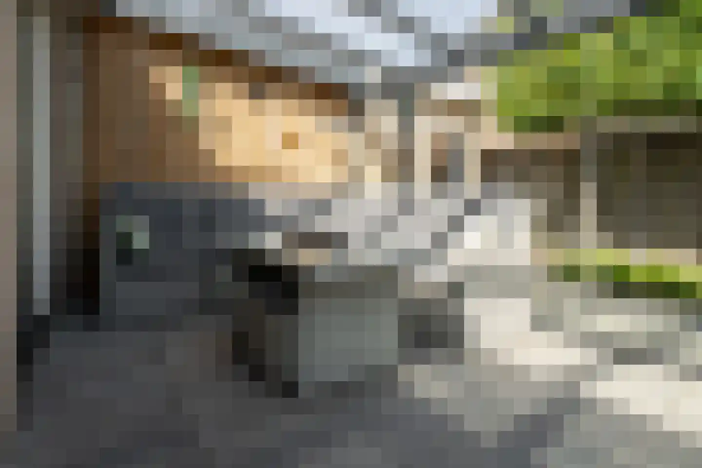 De Kwikstaart 2 Vriezenveen thumbnail 30