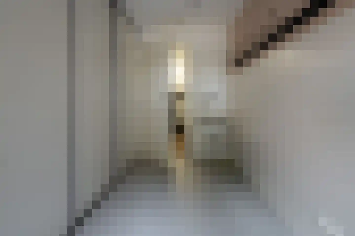 De Kwikstaart 2 Vriezenveen thumbnail 32