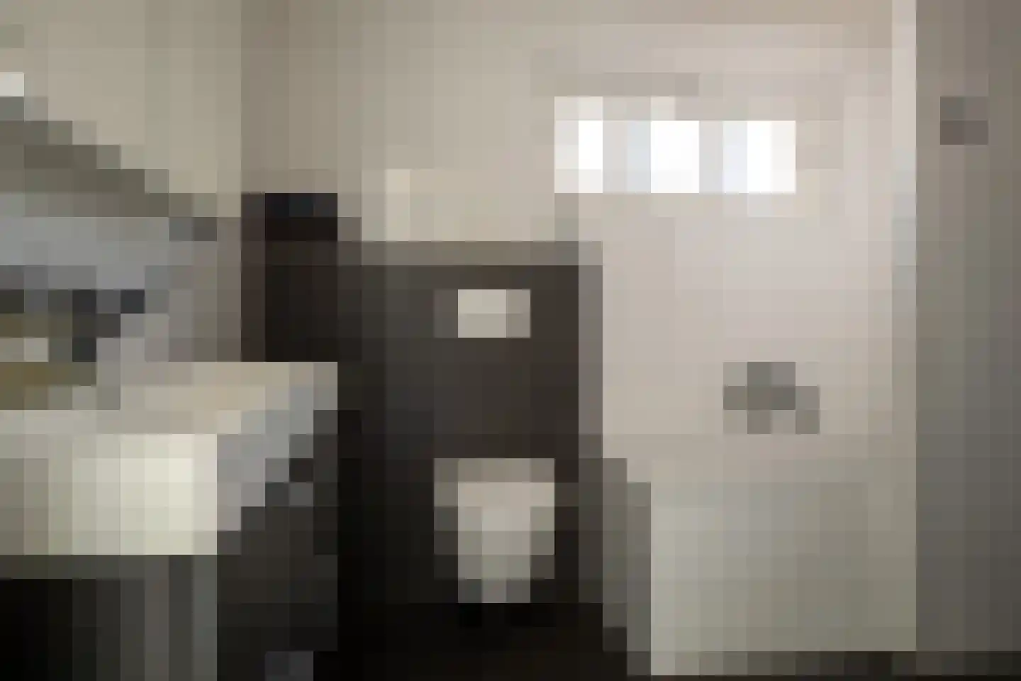 De Kwikstaart 2 Vriezenveen thumbnail 41