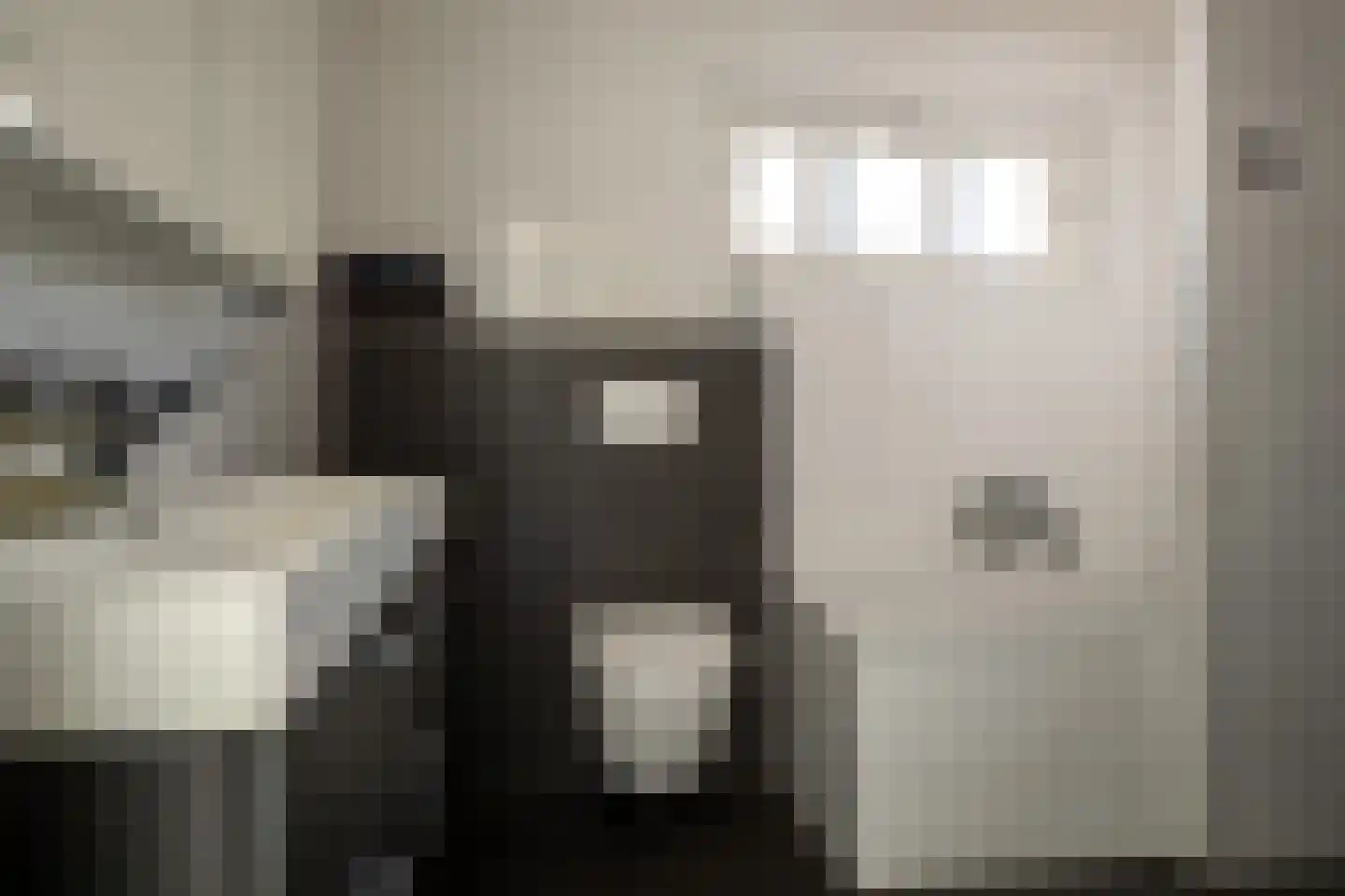 De Kwikstaart 2 Vriezenveen thumbnail 5
