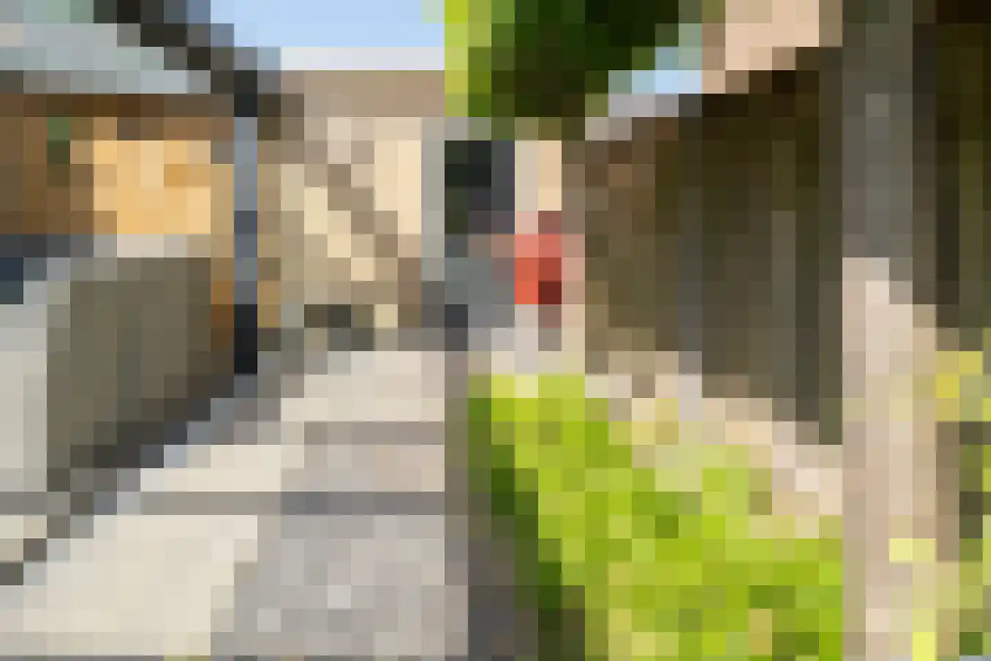 De Kwikstaart 2 Vriezenveen thumbnail 55