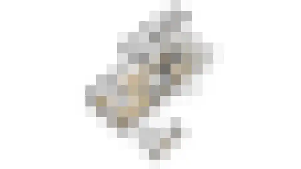 De Kwikstaart 2 Vriezenveen thumbnail 67