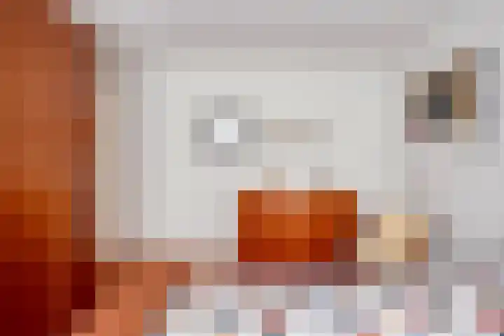 De Kwikstaart 22 Budel thumbnail 12