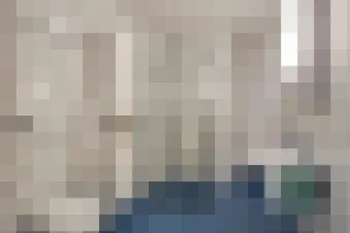 De Kwikstaart 22 Budel thumbnail 13